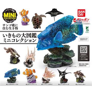 全套5款 生物大圖鑑 珊瑚礁生物 扭蛋 轉蛋 曲紋唇魚 小丑魚 魔鬼蓑鮋 珊瑚礁鬼蝠魟 動物模型