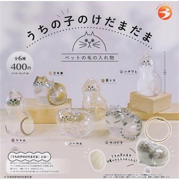 全套6款 我家毛孩 透明吊飾 扭蛋 轉蛋 貓毛收集吊飾 暹羅貓 三花貓 虎斑貓 八字貓