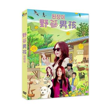 野蔘男孩 DVD