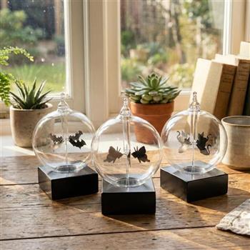 賽先生科學工廠-萌影陽光玻璃風車