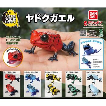全套5款 生物大圖鑑 箭毒蛙篇 扭蛋 轉蛋 草莓箭毒蛙 藍箭毒蛙 青蛙 動物模型 BANDAI 萬代