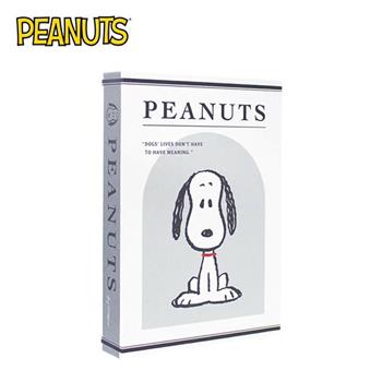 史努比 書型收納盒 收納盒 磁吸蓋設計 飾品收納 桌面收納 小物收納 Snoopy PEANUTS