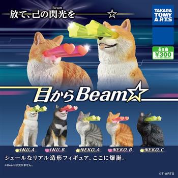 全套5款 眼睛射線動物 扭蛋 轉蛋 擺飾 狗狗 貓咪 動物模型 TAKARA TOMY