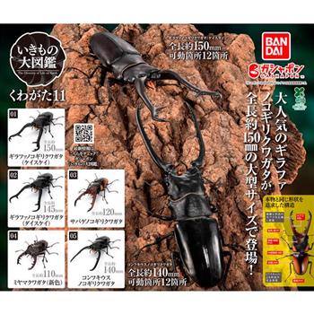 全套5款 生物大圖鑑 鍬形蟲篇 11 扭蛋 轉蛋 昆蟲模型 昆蟲之王 動物模型 BANDAI 萬代
