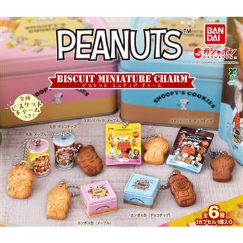 全套6款 史努比 餅乾盒吊飾 扭蛋 轉蛋 迷你餅乾盒 迷你餅乾罐 糊塗塌客 查理布朗 Snoopy