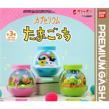 全套3款 塔麻可吉 瓶中生活場景 扭蛋 轉蛋 瓶中造景 電子寵物 電子雞 麻每吉 美眉吉 花花吉