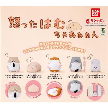 全套5款 氣死倉鼠了 扭蛋 轉蛋 憤怒的倉鼠 生氣的倉鼠 灰色倉鼠 橘色倉鼠 動物模型