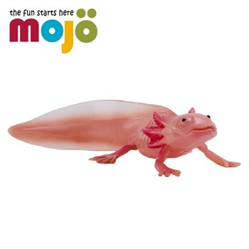 Mojo fun 動物模型 -墨西哥鈍口螈