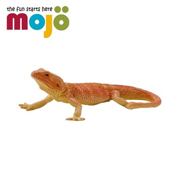 Mojo fun 動物模型 -鬃獅蜥