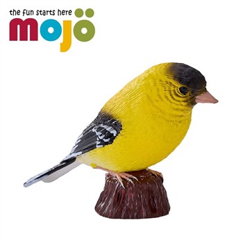Mojo fun 動物模型 -美洲金翅雀