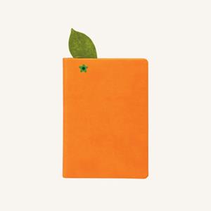 【Daycraft】水果系列筆記本（A6/橙）【金石堂、博客來熱銷】