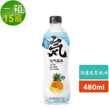 【元氣森林】海鹽鳳梨味氣泡飲 （PET480ml） （15瓶/箱）