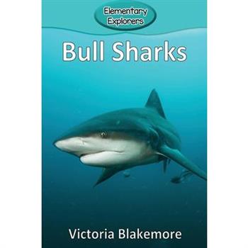 Bull Sharks