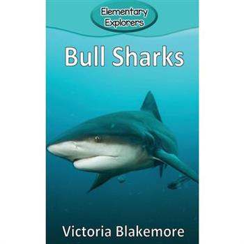 Bull Sharks
