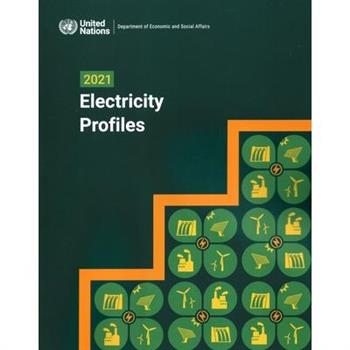 2021 Electricity Profiles