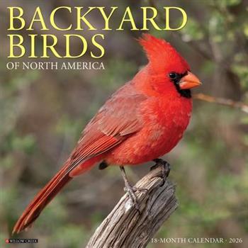 Backyard Birds 2026 12 X 12 Wall Calendar