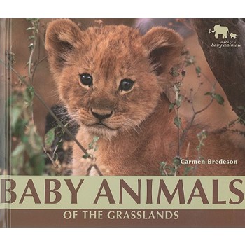 Baby Animals of the Grasslands