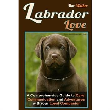 Labrador Love