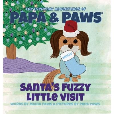 Santa's Fuzzy Little Visit