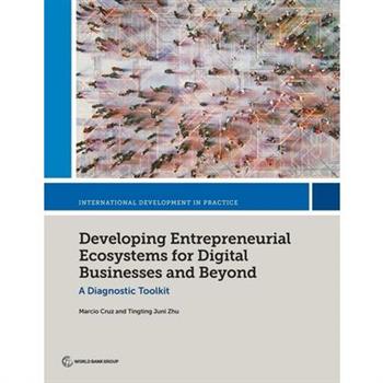 Developing Entrepreneurial Ecosystems for Digital Businesses and Beyond