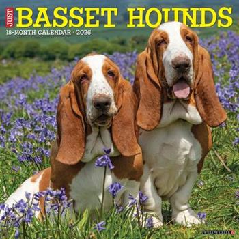 Basset Hounds 2026 12 X 12 Wall Calendar