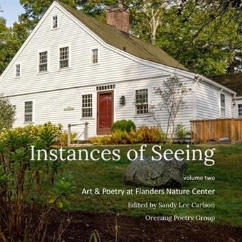 Instances of Seeing, Volume 2