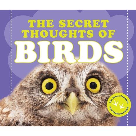 The Secret Thoughts of Birds