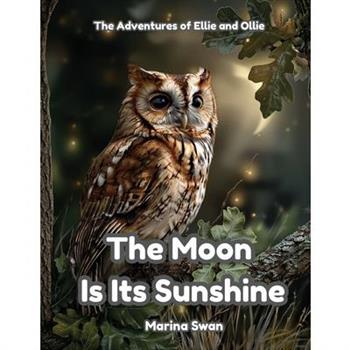 The Moon Is Its Sunshine