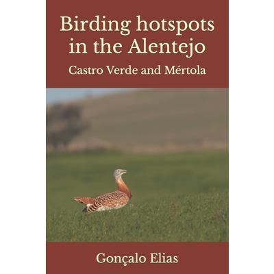 Birding hotspots in the Alentejo