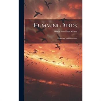 Humming Birds