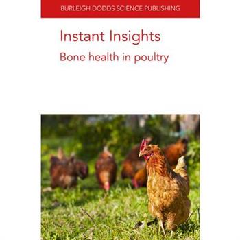Instant Insights
