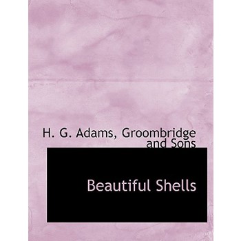 Beautiful Shells