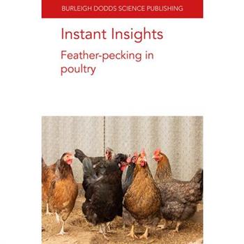Instant Insights