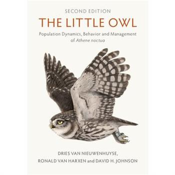 The Little Owl
