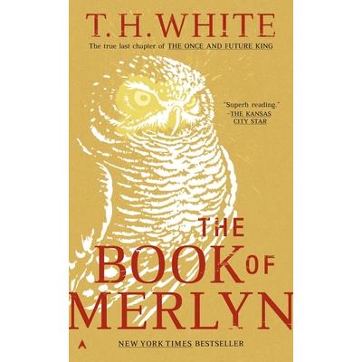 The book of Merlyn /