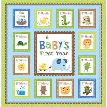 Baby's First Year