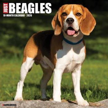 Beagles 2026 12 X 12 Wall Calendar