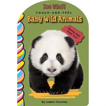 Baby Wild Animals Touch and Feel