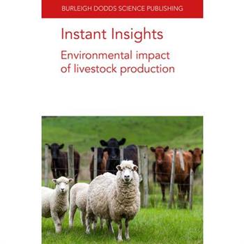 Instant Insights