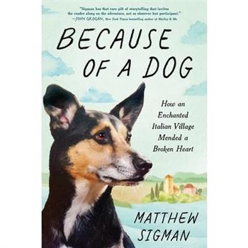 Because of a Dog