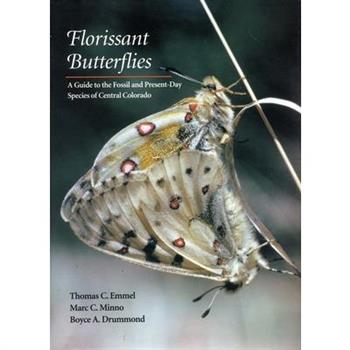 Florissant Butterflies
