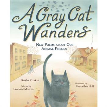 A Gray Cat Wanders