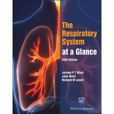 The Respiratory System at a Glance