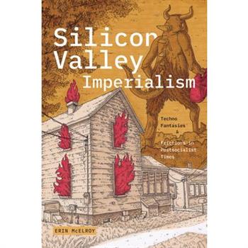 Silicon Valley Imperialism