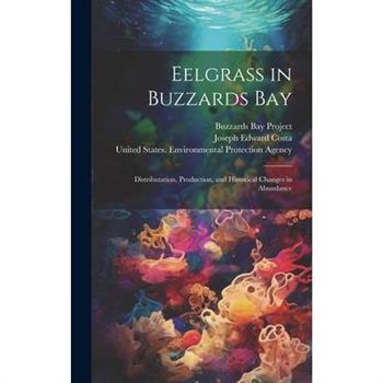 Eelgrass in Buzzards Bay