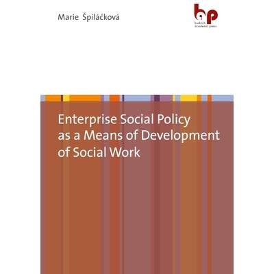Enterprise Social Policy as a Means of Development of Social Work