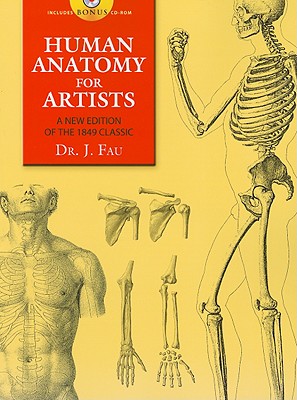 Human Anatomy for Artists