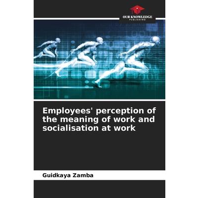 Employees’ perception of the meaning of work and socialisation at work