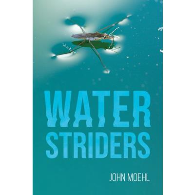 Water Striders