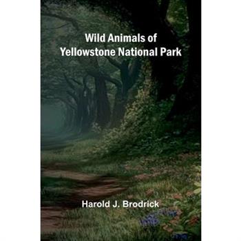 Wild Animals of Yellowstone National Park